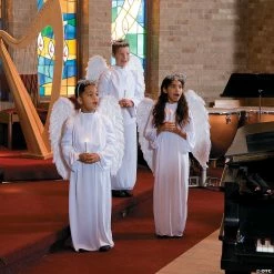 Budget 🥰 Angel Costume Accessory Kit for 12 😀